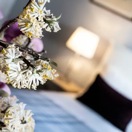 Isola Bella - Via Del Voltone 스트레사