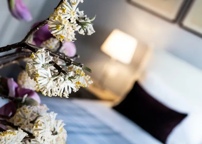 Isola Bella - Via Del Voltone 스트레사